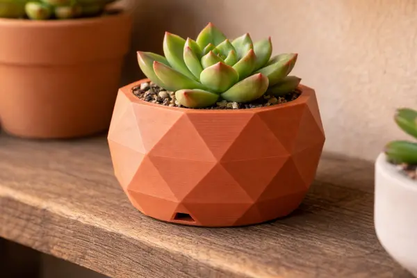 Chậu Cây Đa Diện — Low-Poly Succulent Planter